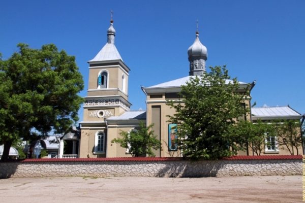 51f169ef9ba223742fdab4f68581a184_774_800